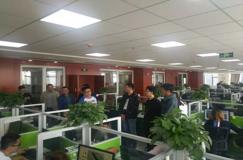 實時掌握項目脈搏 軟件外包服務的動態跟蹤與管理
